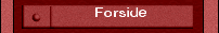 Forside