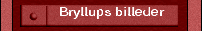 Bryllups billeder